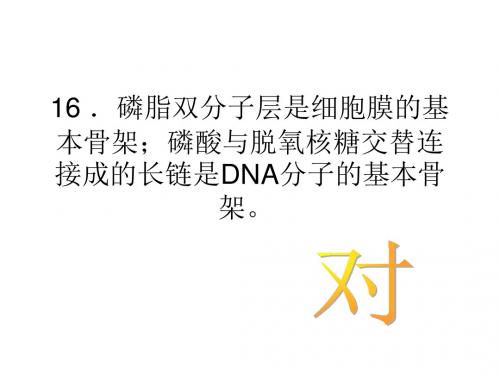 趣味生物知识竞赛