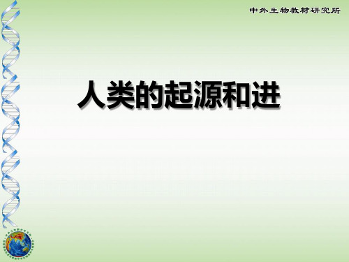 《人类的起源和进化》PPT课件下载