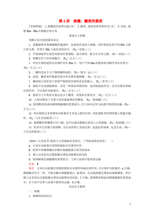 高考生物一轮复习第一单元第4讲核酸糖类和脂质讲义含解析必修1