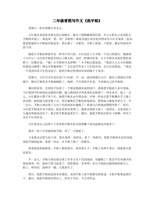 二年级看图写作文《洗手帕》