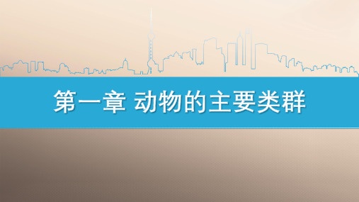 人教版八年级上册第一章第一节  腔肠动物和扁形动物课件(26张ppt)优秀课件