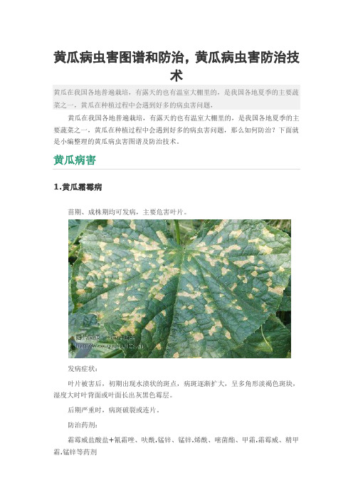 黄瓜病虫害图谱和防治,黄瓜病虫害防治技术