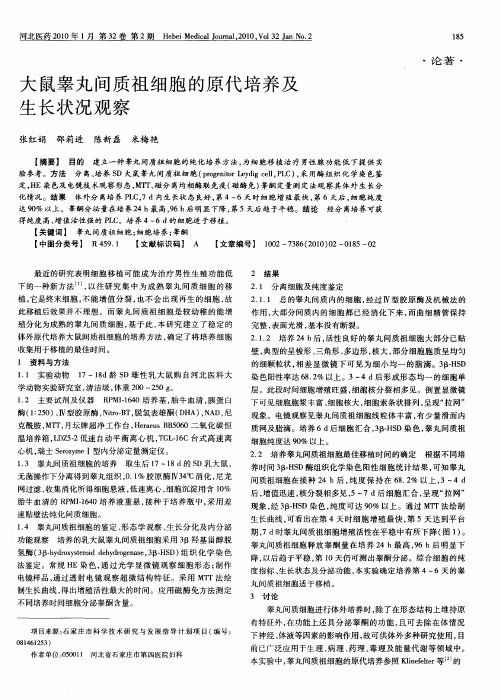 大鼠睾丸间质祖细胞的原代培养及生长状况观察