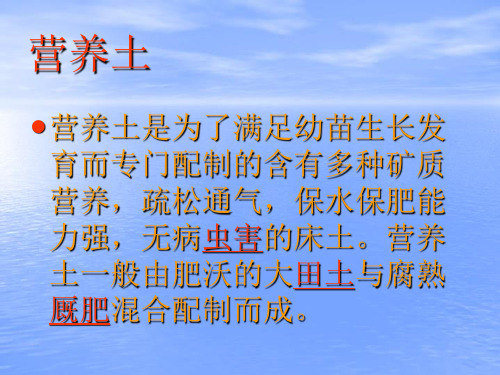 营养土教学文案