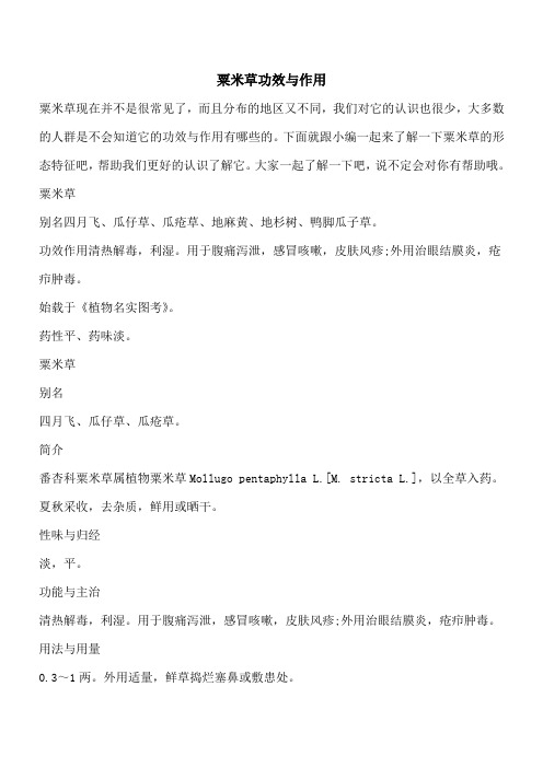 【优秀文档】粟米草功效与作用