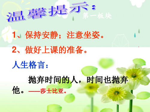 人教部编版八年级道德与法治下册同课异构8.1-公平正义的价值课件(共22张PPT)