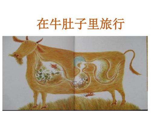 10 在牛肚子里旅行ppt课件