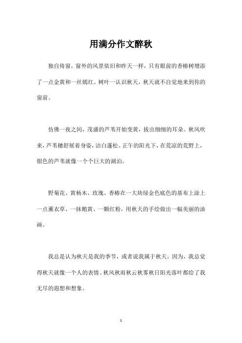 用满分作文醉秋