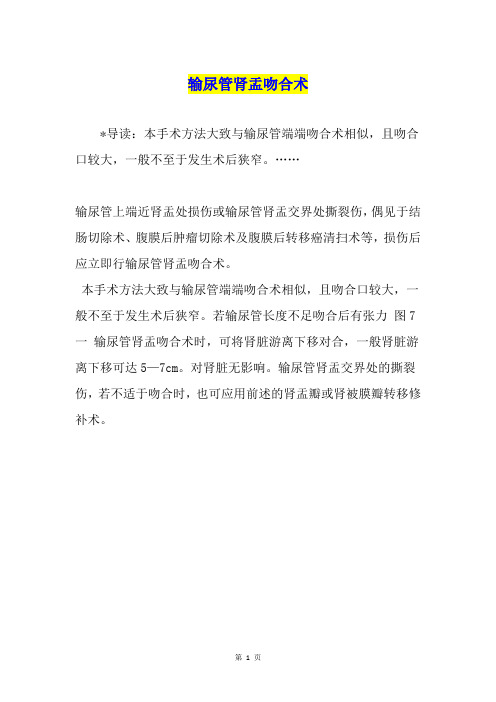 输尿管肾盂吻合术