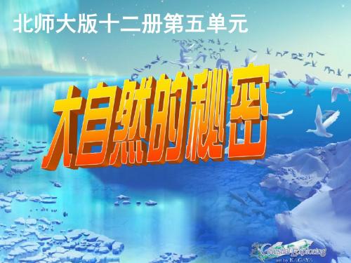北师大版小学语文六年级下册课件《大自然的密秘》