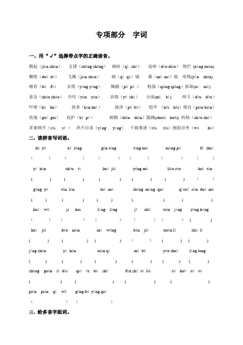 小学六年级语文专项复习《字词》(配语文s版)