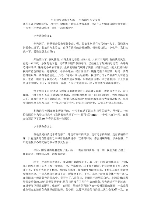 小升初高分作文5篇   小考满分作文5篇 