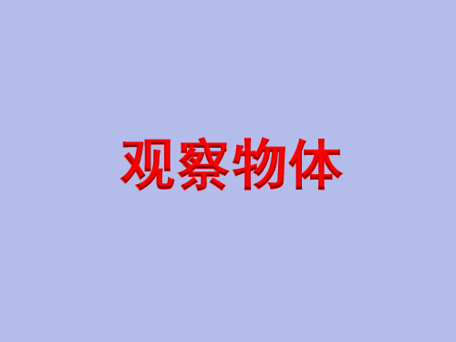 二年级上册数学课件-7.2 观察物体丨苏教版 (共17张PPT)