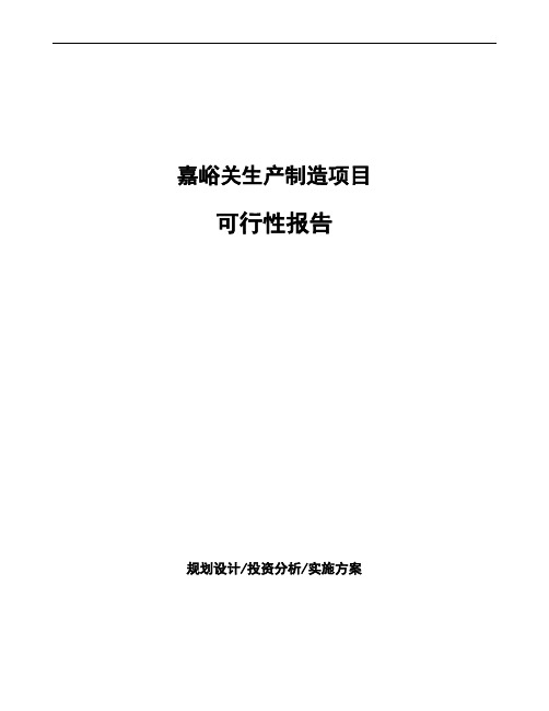 嘉峪关项目可行性报告(立项申请)