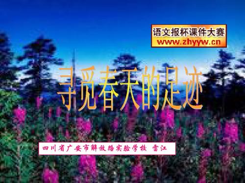 综合性学习《寻觅春天的足迹》教学课件