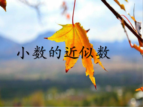 苏教版五年级上册数学课件：21.小数的近似数