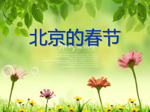 《北京的春节》PPT课件