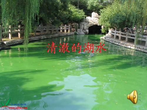 27、二年级语文上册 清澈的湖水完整课件
