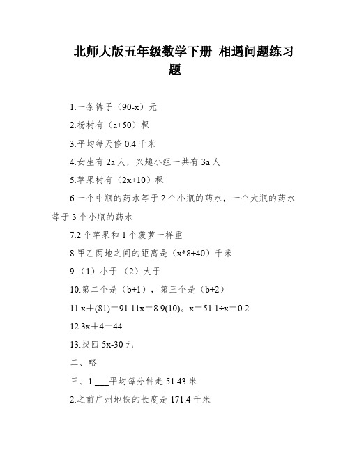 北师大版五年级数学下册 相遇问题练习题