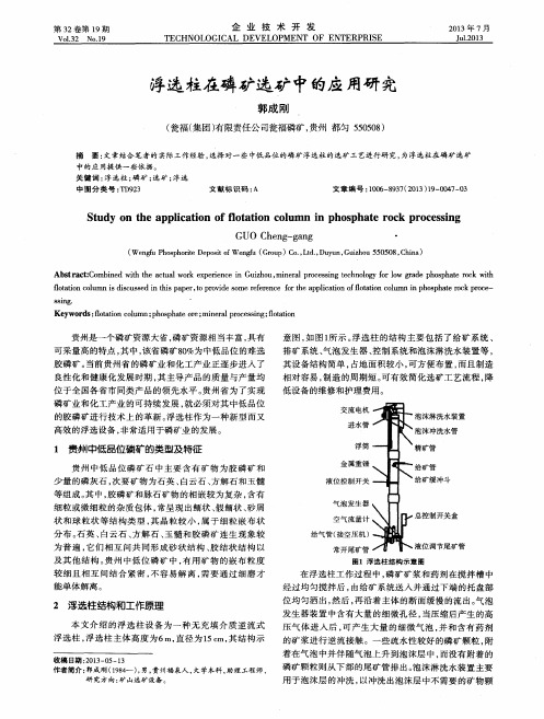 浮选柱在磷矿选矿中的应用研究