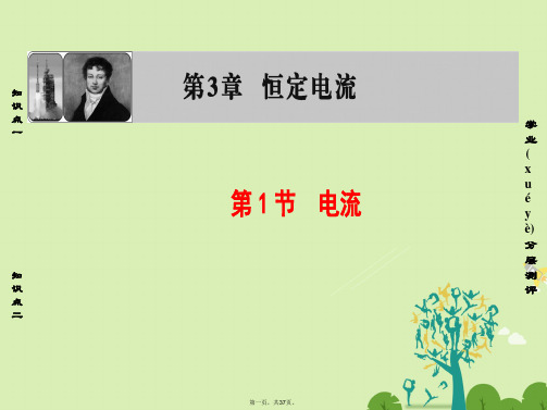 高中物理第3章静电场恒定电流第1节电流课件鲁科版选修31