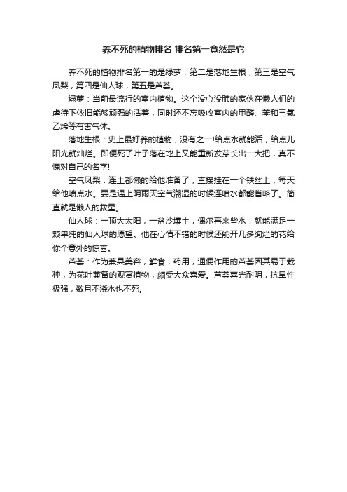 养不死的植物排名排名第一竟然是它