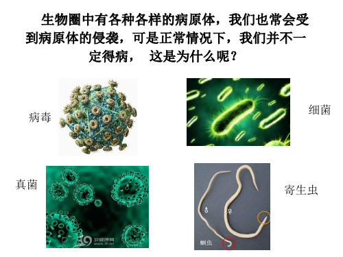 济南版七年级下册生物课件 3.6.1《人体的免疫功能》