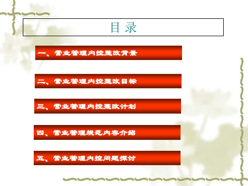 中国联通营业管理内控整改计划