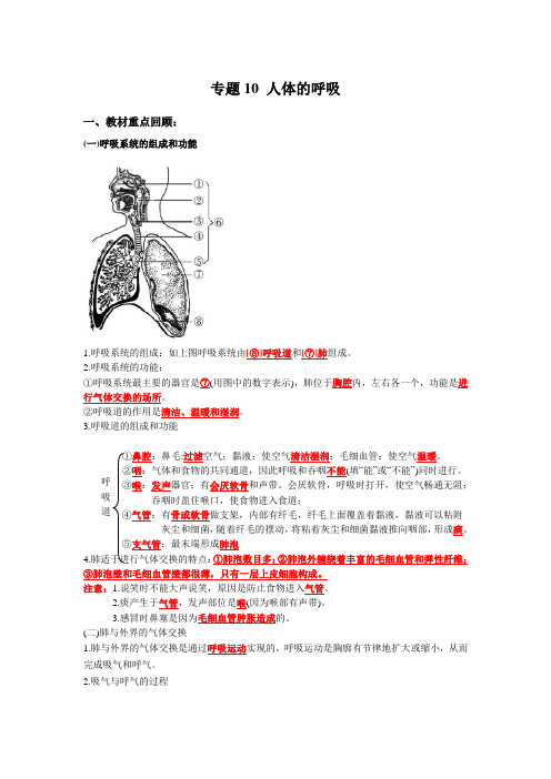 2020年中考生物一轮复习讲义 专题10 人体的呼吸(解析版)