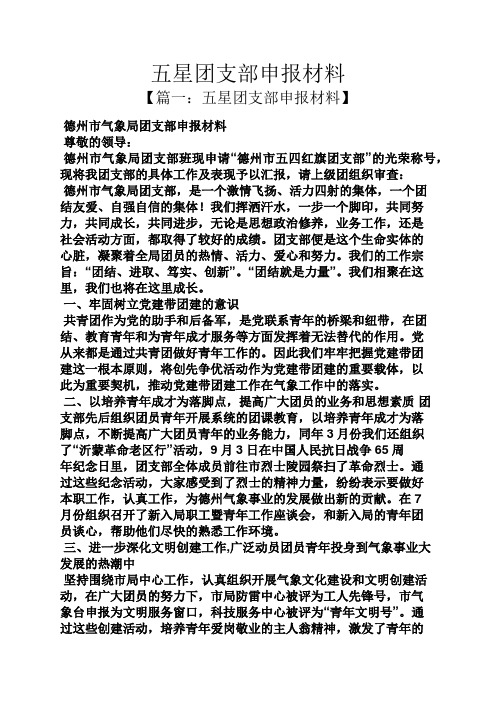 五星团支部申报材料