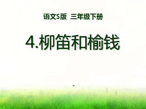 语文S版语文三下《柳笛和榆钱》ppt-课件2