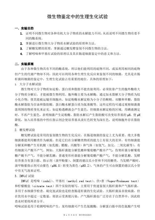 微生物鉴定中的生理生化试验