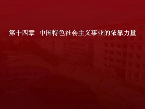 14中国特色社会主义事业的依靠力量