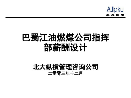 北大纵横—巴蜀江油燃煤1216-薪酬设计-zhy