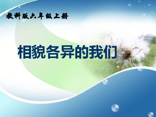 《相貌各异的我们》ppt课件2