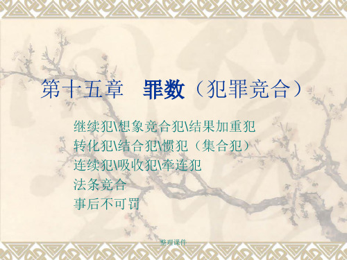 刑法总论讲义15第十五章罪数