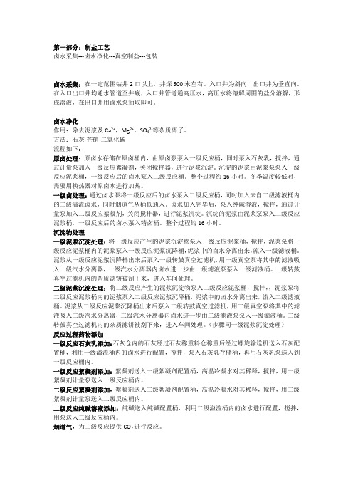 制盐工艺及设备