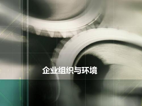 2014年中英自考《企业组织与环境》第4章管理职能