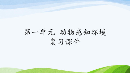 二年级上册科学课-第一单元 动物感知环境 复习课件-青岛版(五年制) (共13张PPT)