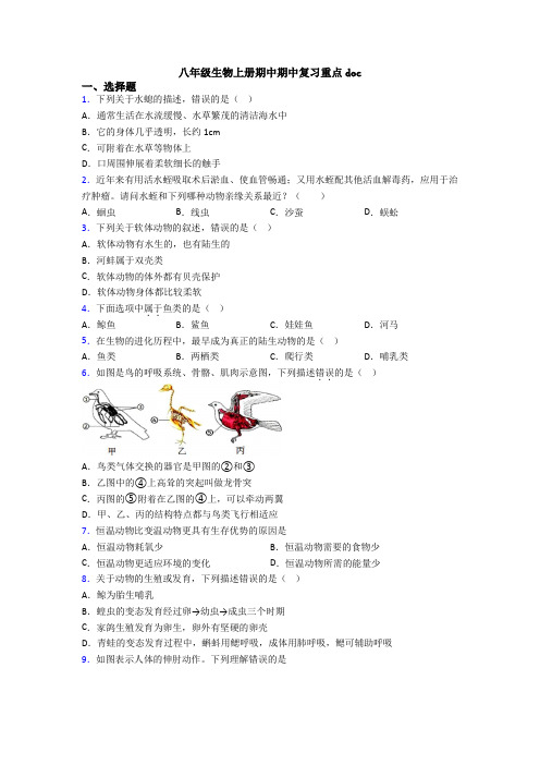 八年级生物上册期中期中复习重点doc