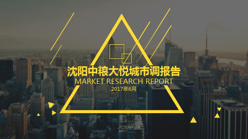 2017年沈阳中粮大悦城市调报告综合体业态区位分析_市场调研