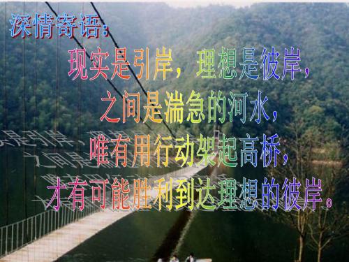 3.3一元一次方程的解法 (1)