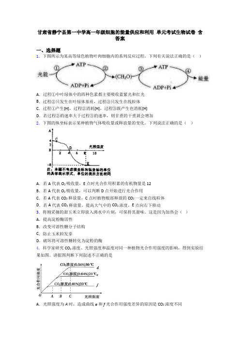 甘肃省静宁县第一中学高一年级细胞的能量供应和利用 单元考试生物试卷 含答案