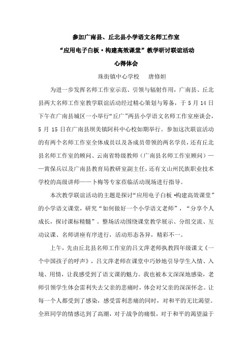 参加广南县、丘北县小学语文名师工作室联谊活动——心得体会