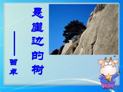 【小学课件】《悬崖边的树》优质PPT课件