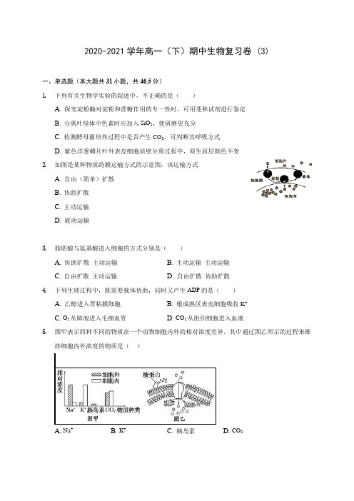 2020-2021学年高一(下)期中生物复习卷 (3)(含答案解析)