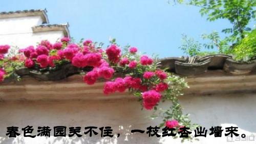 济南版生物 七年级 上册1.1.1 《生物的基本特征》课件  40张PPT