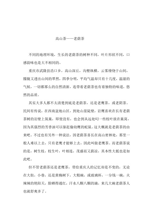 高山老荫茶