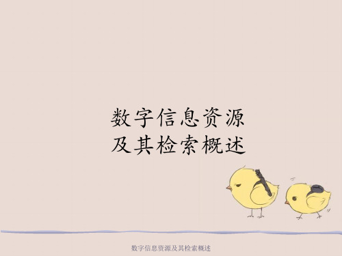 数字信息资源及其检索概述