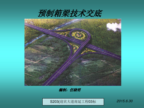 预制箱梁PPT汇总